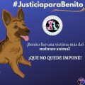 Detienen al monstruo que asesinó a Benito, el perrito de Tecámac