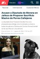 Diputada Yussara Canales presenta exhorto y desata furia de animalistas