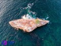 Enteran a Profepa de hoteles y casas que arrojan sus aguas negras al mar