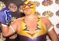 Falleció el luchador villano V