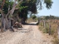 Hallan muerto a hombre de 70 años en rancho del Zancudo