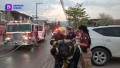 Incendio en vivienda deja una mascota calcinada