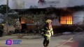 Incendio en vivienda deja una mascota calcinada