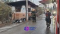 Incendio en vivienda deja una mascota calcinada