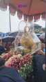 Inicia novenario en honor a la Santísima Virgen del Rosario de Talpa