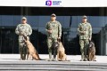 Jubilan en ceremonia de honor a  Eden, Enry y Eska