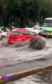 Lluvia intensa colapsa CDMX.