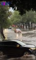 Lluvia intensa colapsa CDMX.