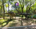 Los Pinos se llena de Dinosaurios