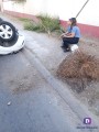 Mujer perdió el control y se estrelló contra una palmera y volcó su vehículo