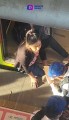 Mujer queda atrapada entre tren y andén del Metro CDMX
