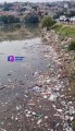 Quisieron desfogar una presa a punto de desbordarse pero la basura tapó la salida