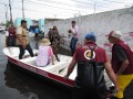 Rescatan a 47 peludos de las inundaciones en Chalco