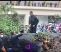 Rescatan con vida a bebe debajo de los restos de un árbol