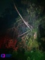 Retiran árboles y rocas de carretera 200 en Cabo Corrientes.