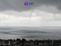 Salen "culebras de agua" en el Lago de Chapala