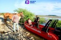 Salvan a 40 caballos atrapados en la presa Cerro Prieto