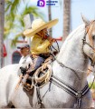 Se lleva a cabo el tradicional desfile charro