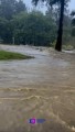 Severas inundaciones, nivel del agua colapsa vialidades