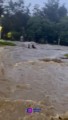 Severas inundaciones, nivel del agua colapsa vialidades