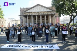 Animalistas defienden los derechos animales en Plaza Liberación