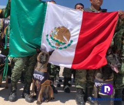 Con homenaje reciben a Proteo, el héroe de cuatro patas