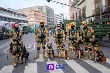 De lo más esperado, el paso de los lomitos en el desfile militar