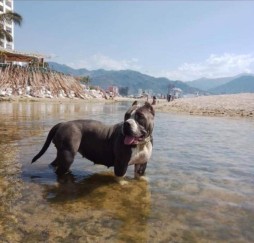 Deyssi se perdió por palmar de aramara.