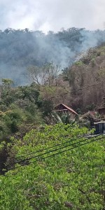 Reportan el inicio de un incendio forestal por la colonia Benito Juárez hacia el cerro.