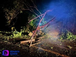 Retiran árboles y rocas de carretera 200 en Cabo Corrientes.