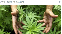 Senadora de Morena compara mariguana con clítoris