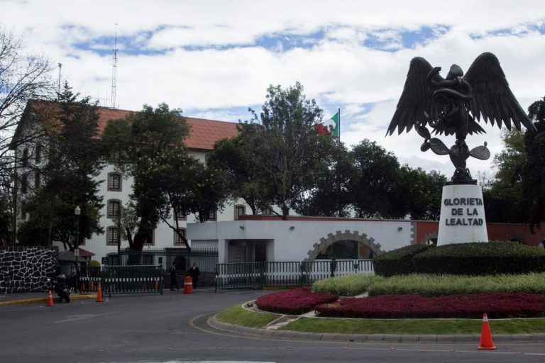 Mueven 4 metros águila de los Pinos | Reporte Diario Vallarta